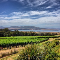Hobart winery with a view