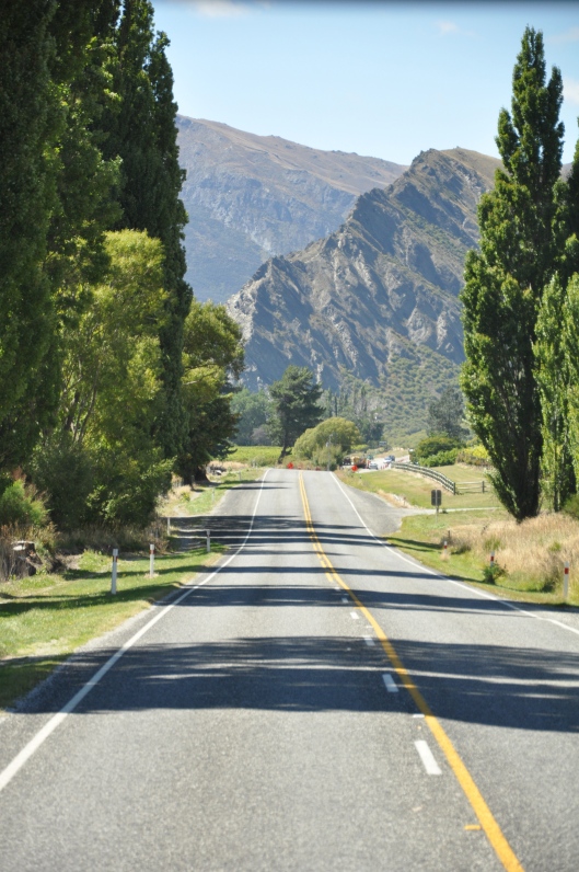 Along the drive from Queenstown to Dunedin