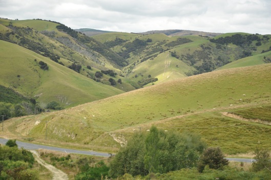 Along the drive from Queenstown to Dunedin - rolling hills