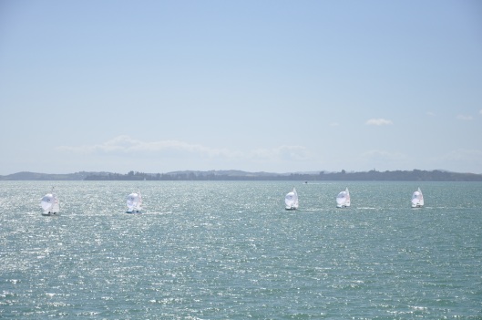 Auckland boats