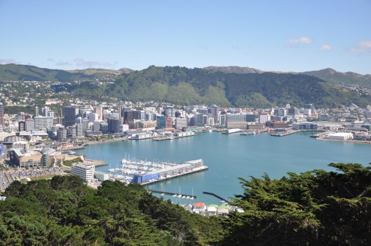 View of Wellington from Mount Victoria