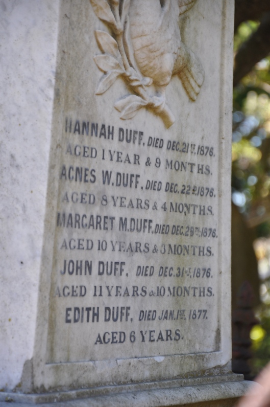 Family tombstone at Wellington Botanic Gardens. A majority of the family must have perished from some type of illness or disease with such close dates of death.