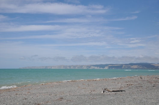 Cape Kidnappers in the distance