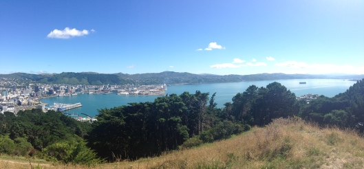 Panorama of Wellington from atop Mount Victoria